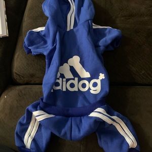 Addidog outfit
